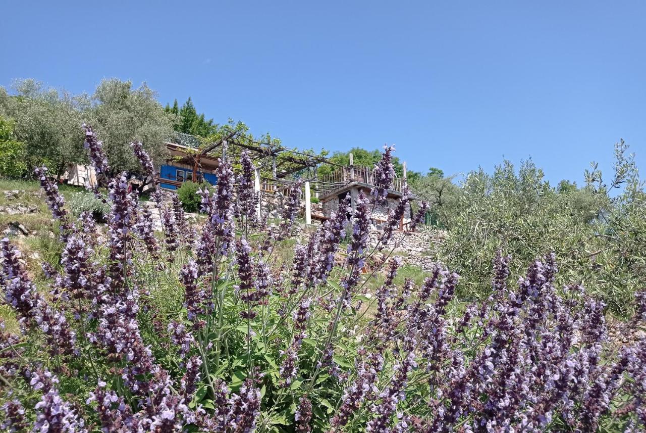 Casa Delle Olive Villa Mošćenička Draga Buitenkant foto