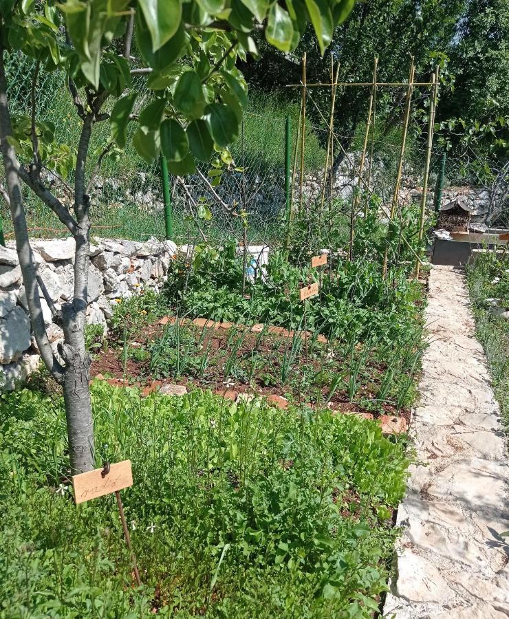 Casa Delle Olive Villa Mošćenička Draga Buitenkant foto