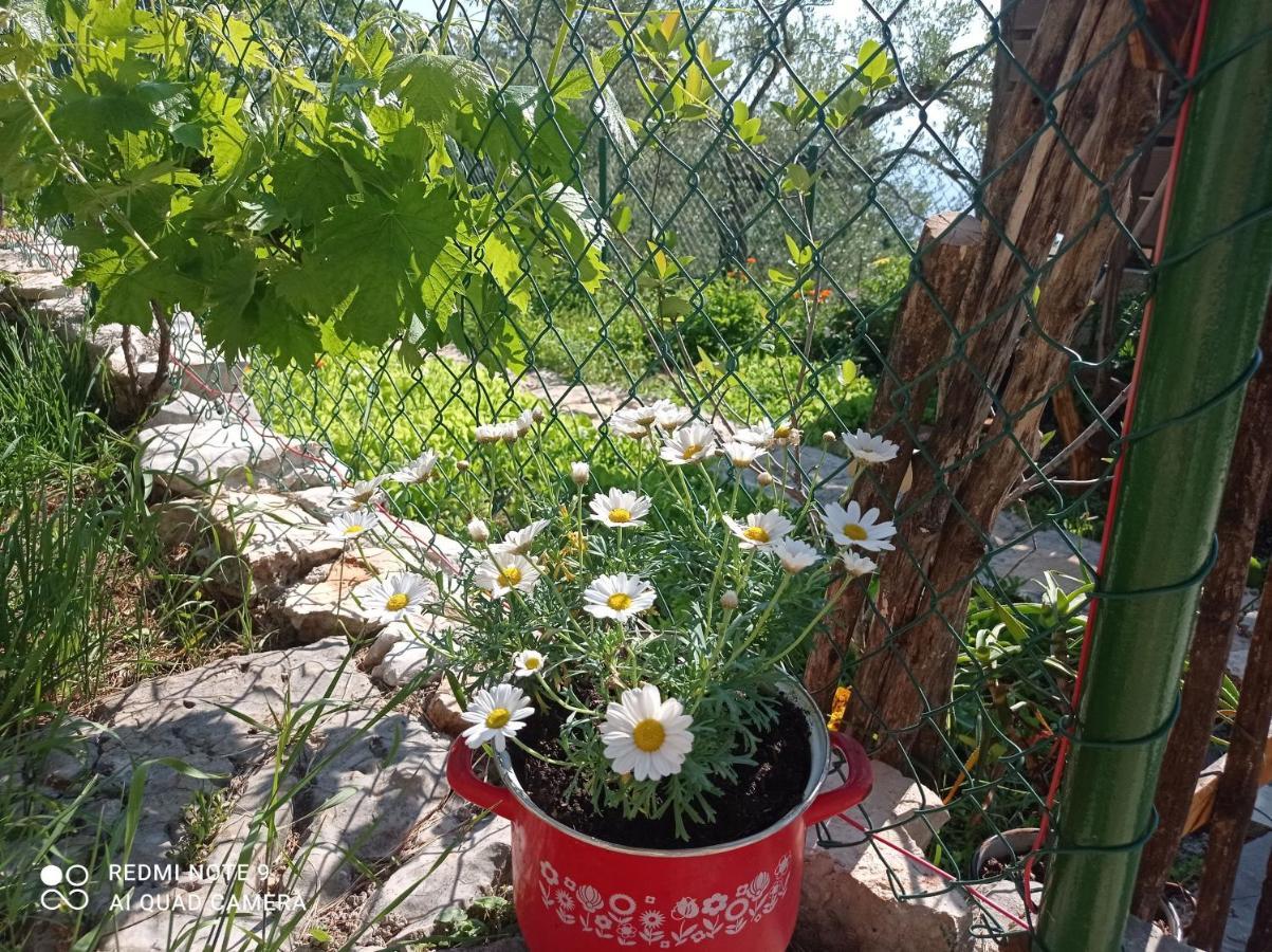 Casa Delle Olive Villa Mošćenička Draga Buitenkant foto