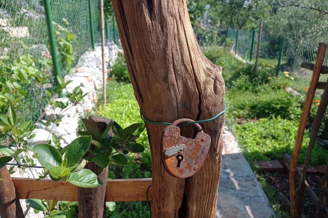 Casa Delle Olive Villa Mošćenička Draga Buitenkant foto